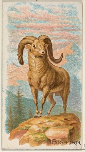 Bighorn, from the Quadrupeds series (N21) for Allen & Ginter Cigarettes