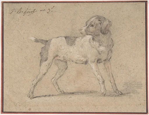 Black and White Dog, Head Turned to the Left