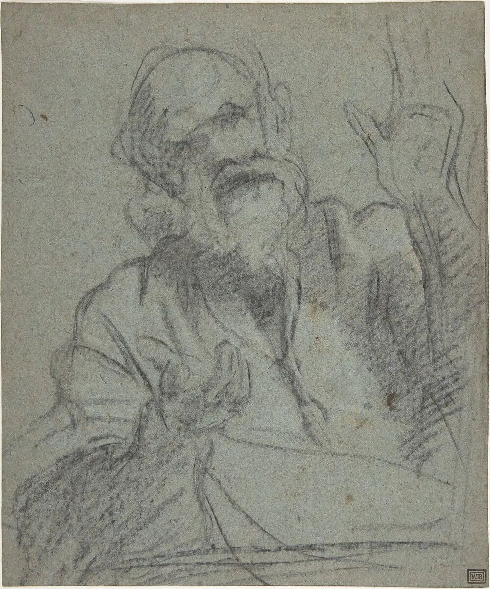 Study of an Old Man — Carracci School|Giacomo Cavedone