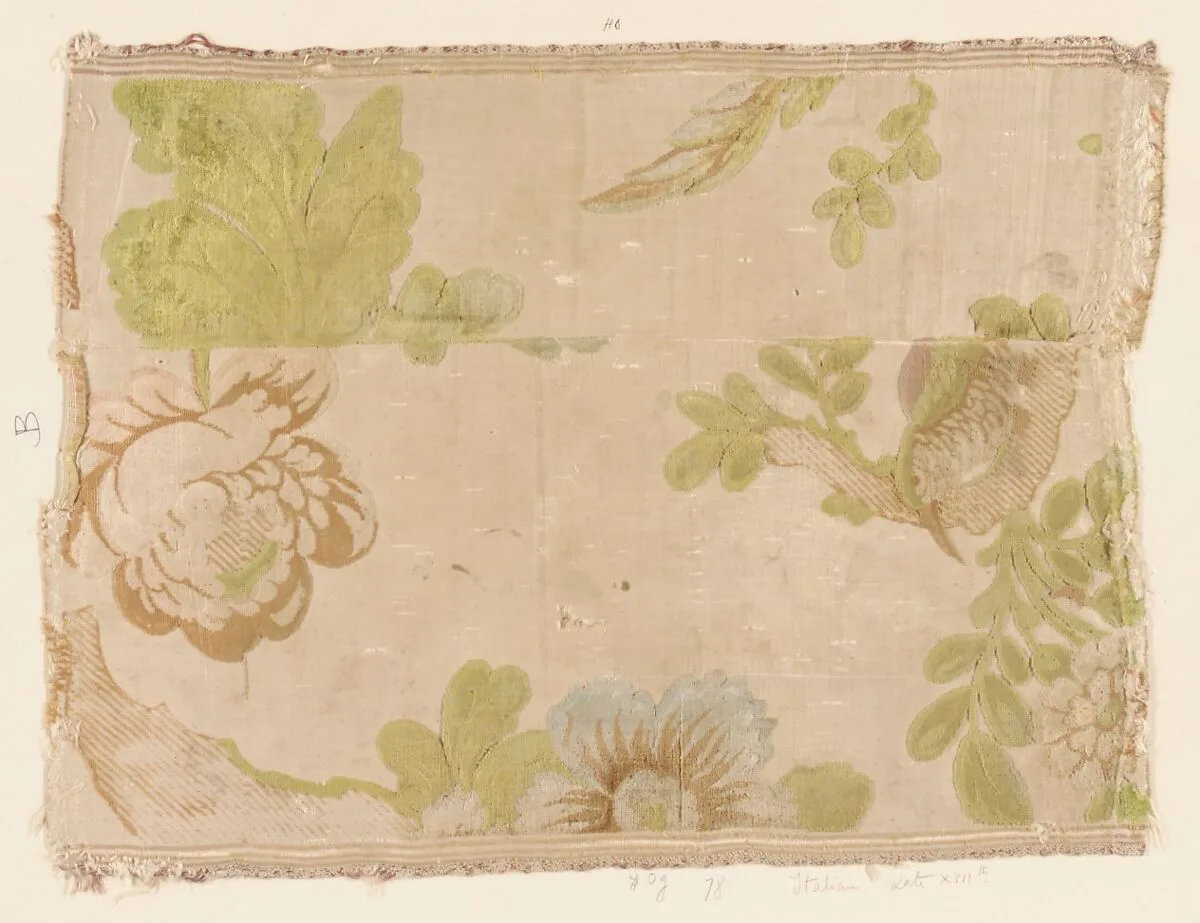 Fragment — Unknown
