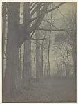 The November Woods, Little Falls, New York