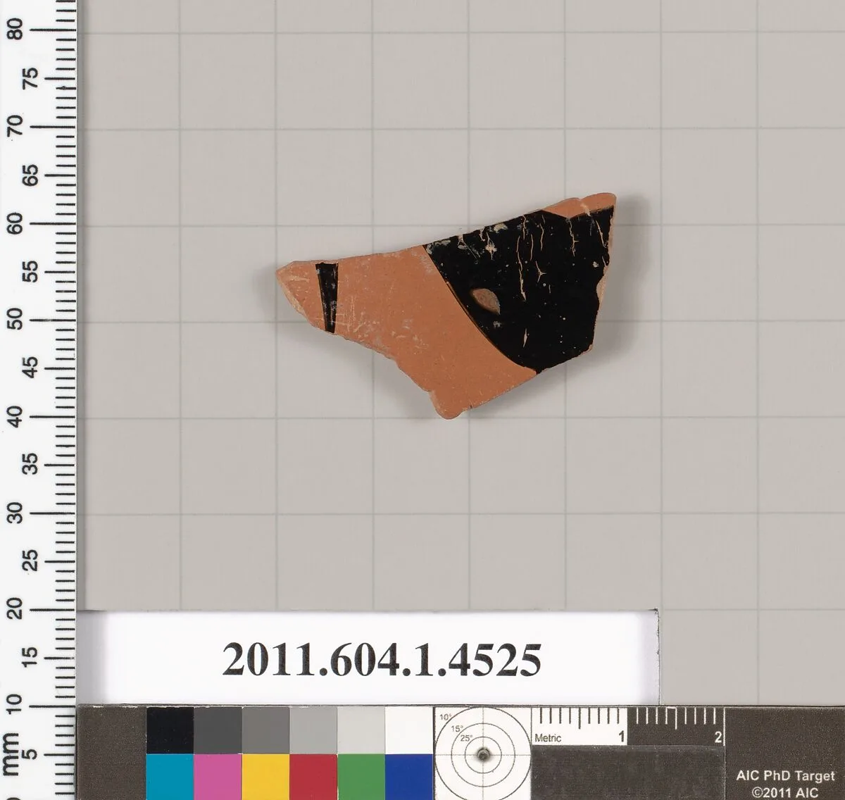Terracotta fragment of a kylix (drinking cup) — Unknown