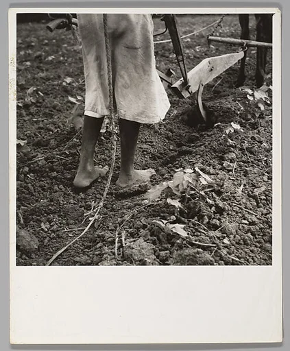 Alabama Plow Girl, near Eutaw, Alabama