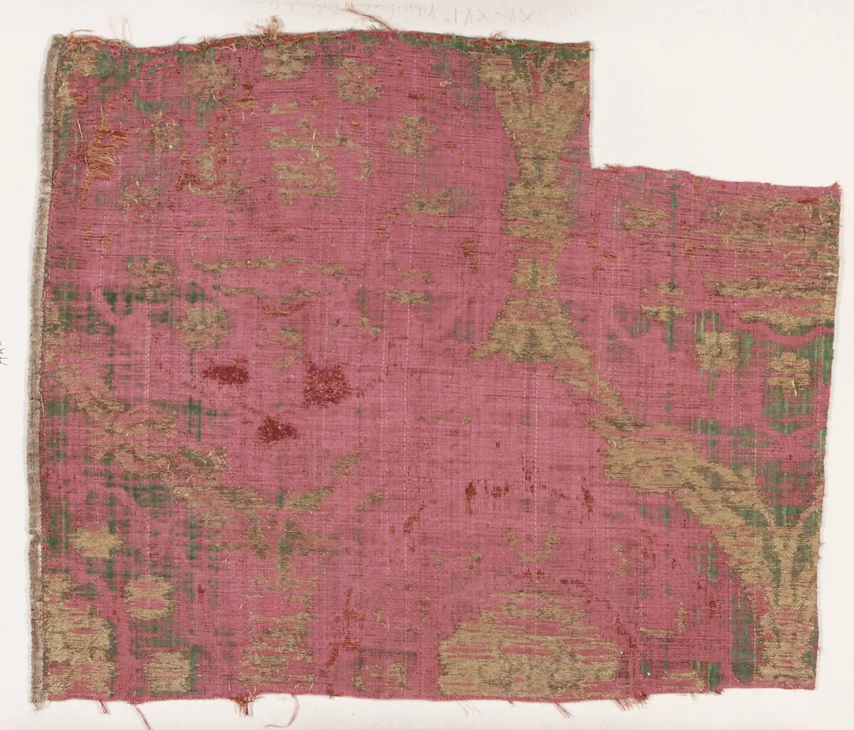 Fragment — Unknown