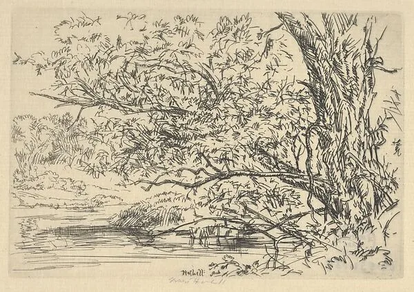 Willow and Water — Ernest Haskell