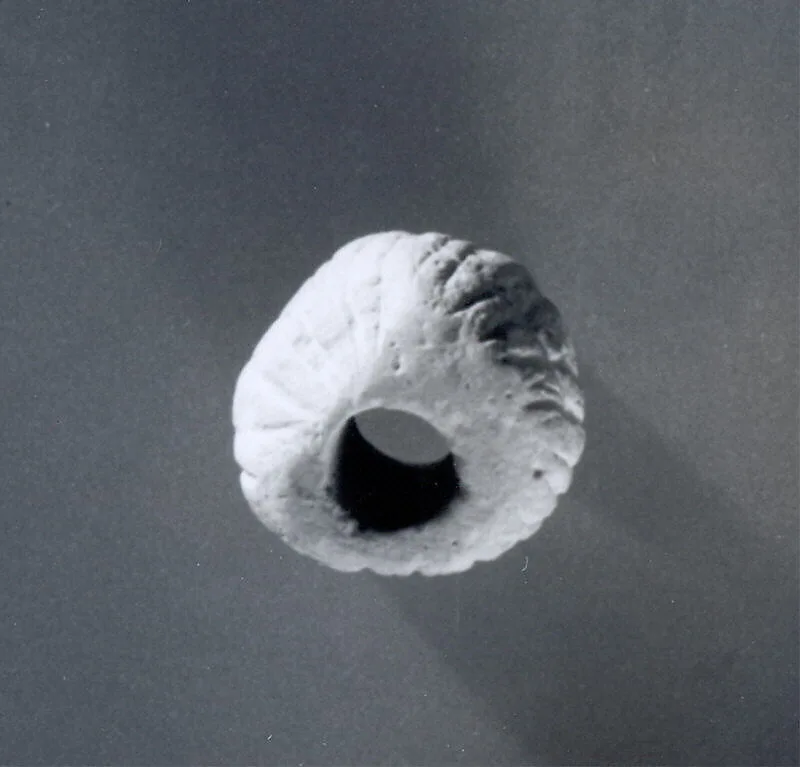 Spindle whorl — Unknown