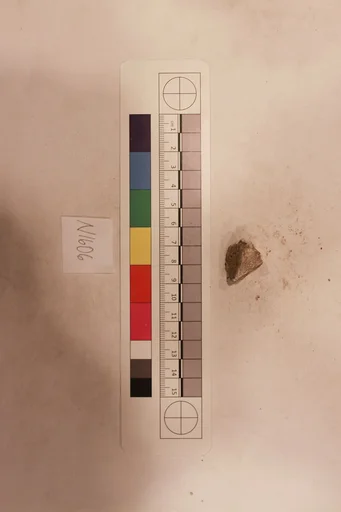 Stucco Fragment