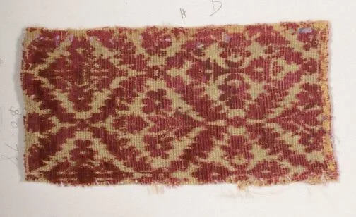Fragment — Unknown