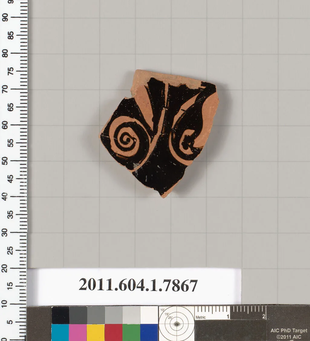 Terracotta fragment of a kylix (drinking cup) — Unknown