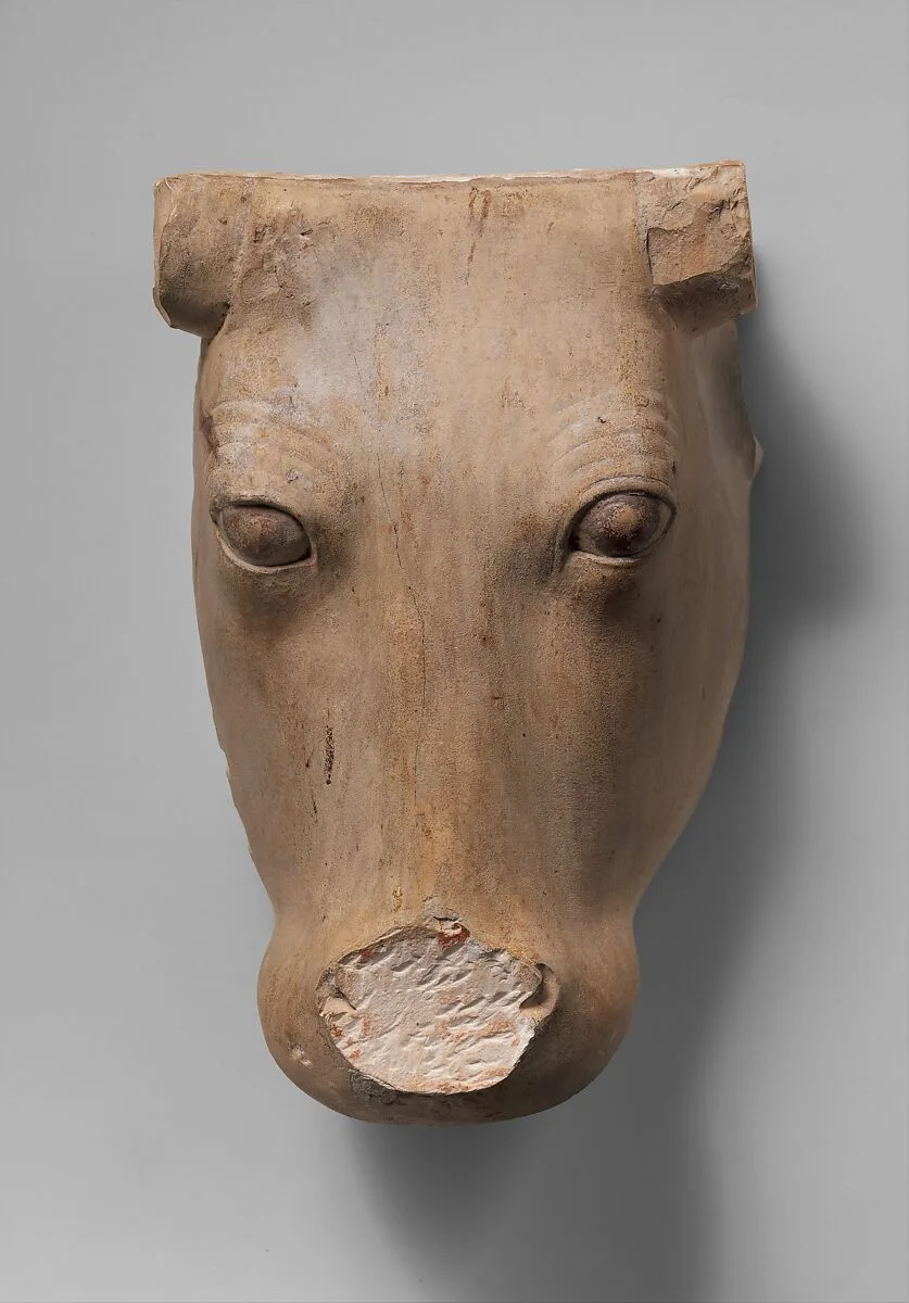 Cow's Head from a frontal representation of a cow emerging from a wall — Unknown