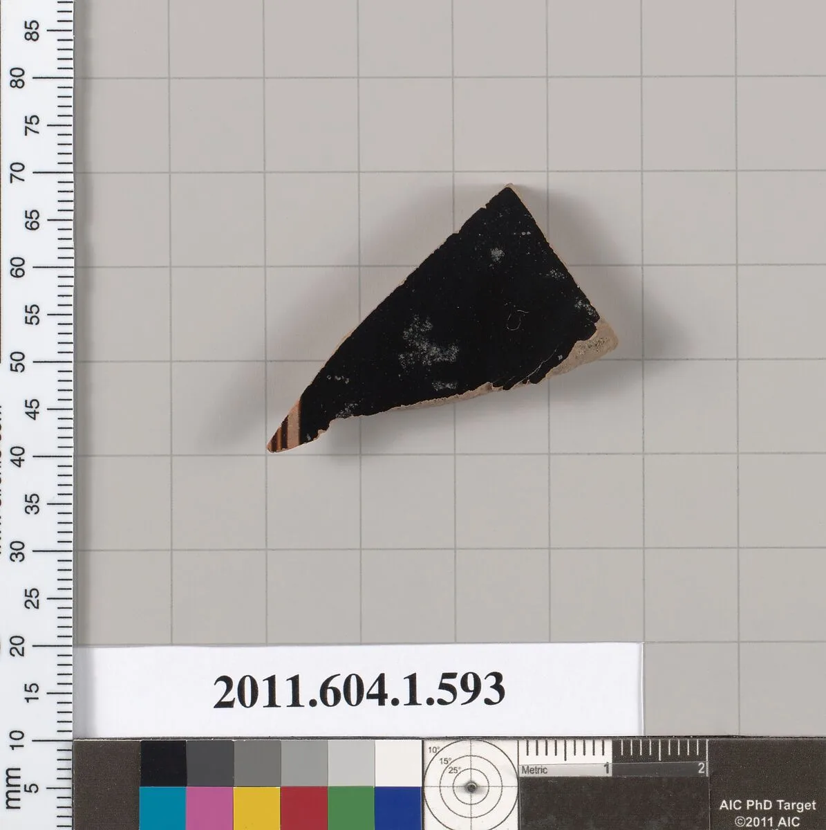 Terracotta fragment of a kylix (drinking cup) — Unknown