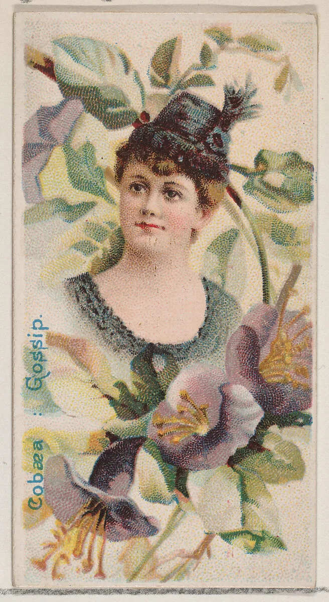 Cobaea: Gossip, from the series Floral Beauties and Language of Flowers (N75) for Duke brand cigarettes — Donaldson Brothers|American Tobacco Company