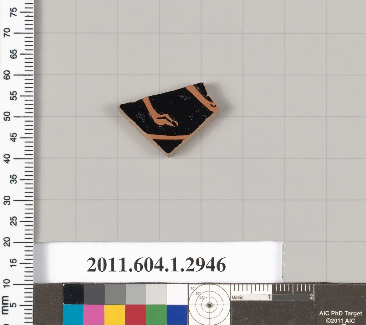 Terracotta fragment of a kylix (drinking cup) — Unknown