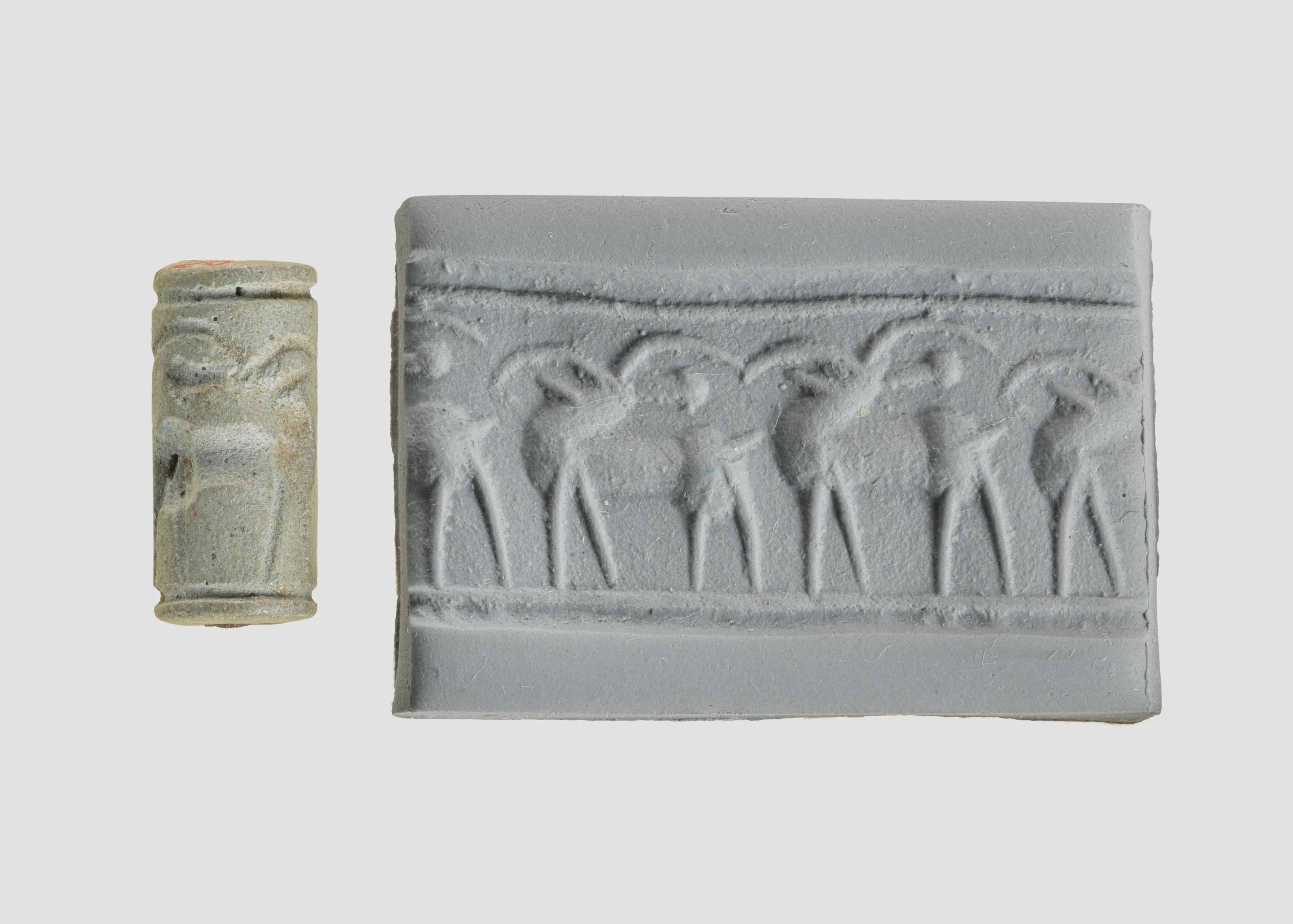 Cylinder seal — Unknown