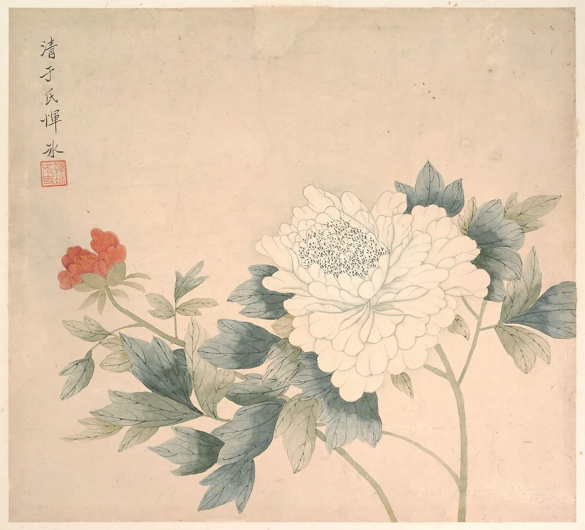 清 惲冰 花卉圖 册页|Flower Study — Yun Bing