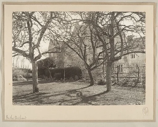 In the Orchard