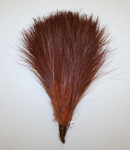Aigrette