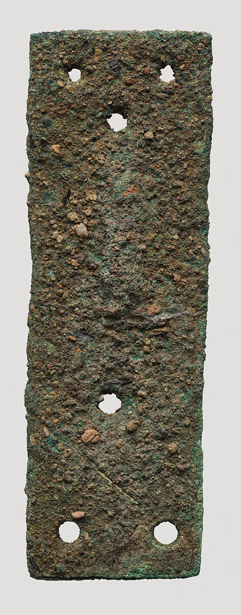 Armor scales — Unknown