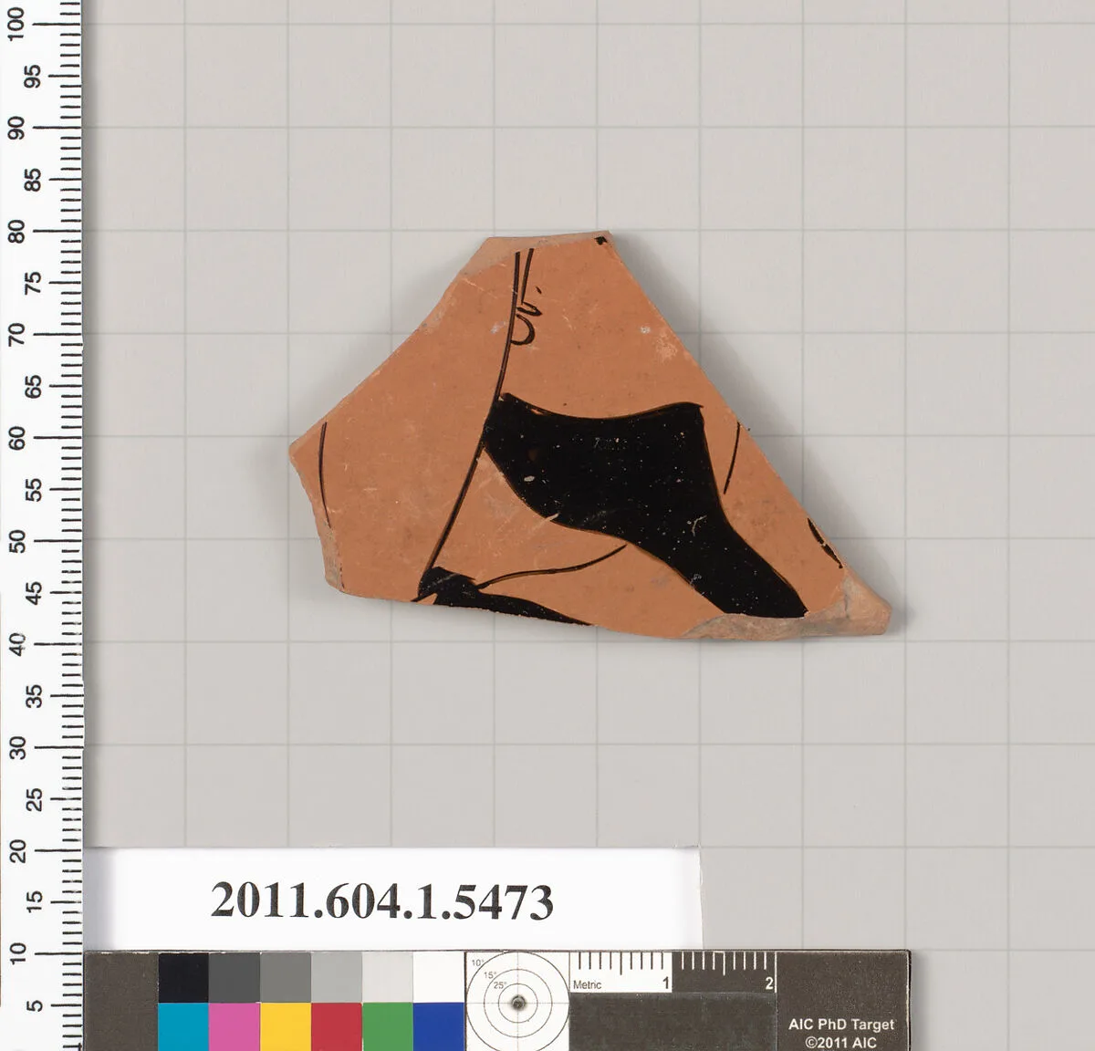 Terracotta fragment of a kylix (drinking cup) — Unknown