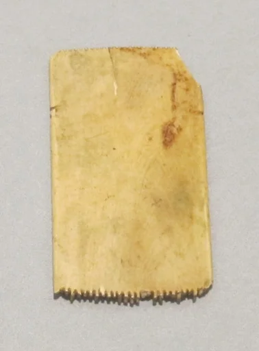 Comb fragment
