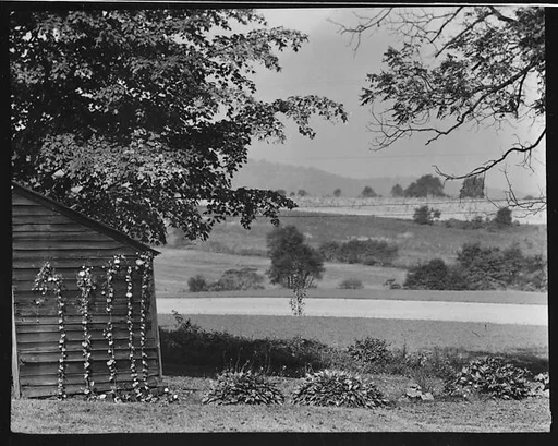 [Wooden Building and Fields on Estate of Suzette Morton Hamill, Lake Forest, Illinois]