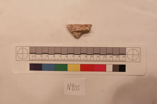 Stucco Fragment