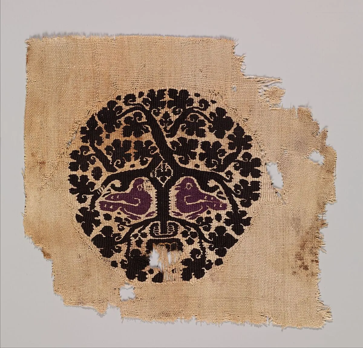 Orbiculus (Roundel) with Grapevine Inhabited by Two Purple Birds Emerging from a Pot — Unknown