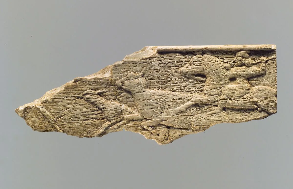 Panel fragment — Unknown