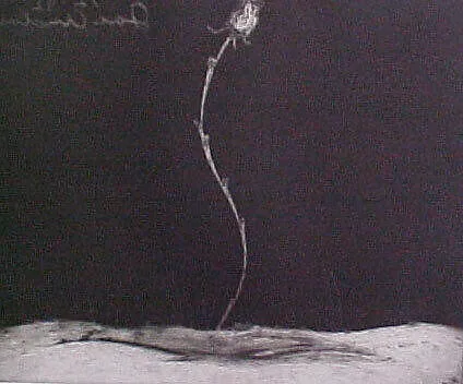 Portfolio of 6 Aquatints: Rose — Joe Andoe