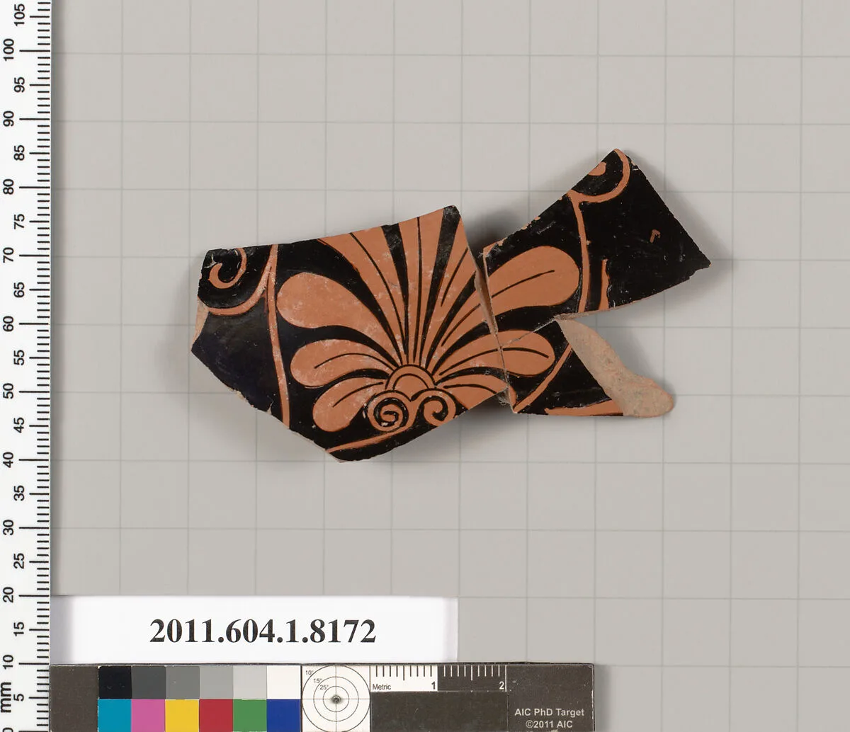 Terracotta fragment of a kylix (drinking cup) — Unknown