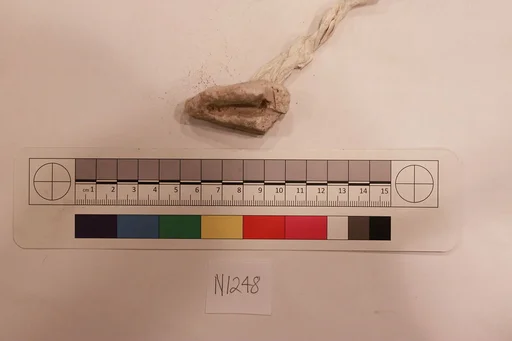 Stucco Fragment