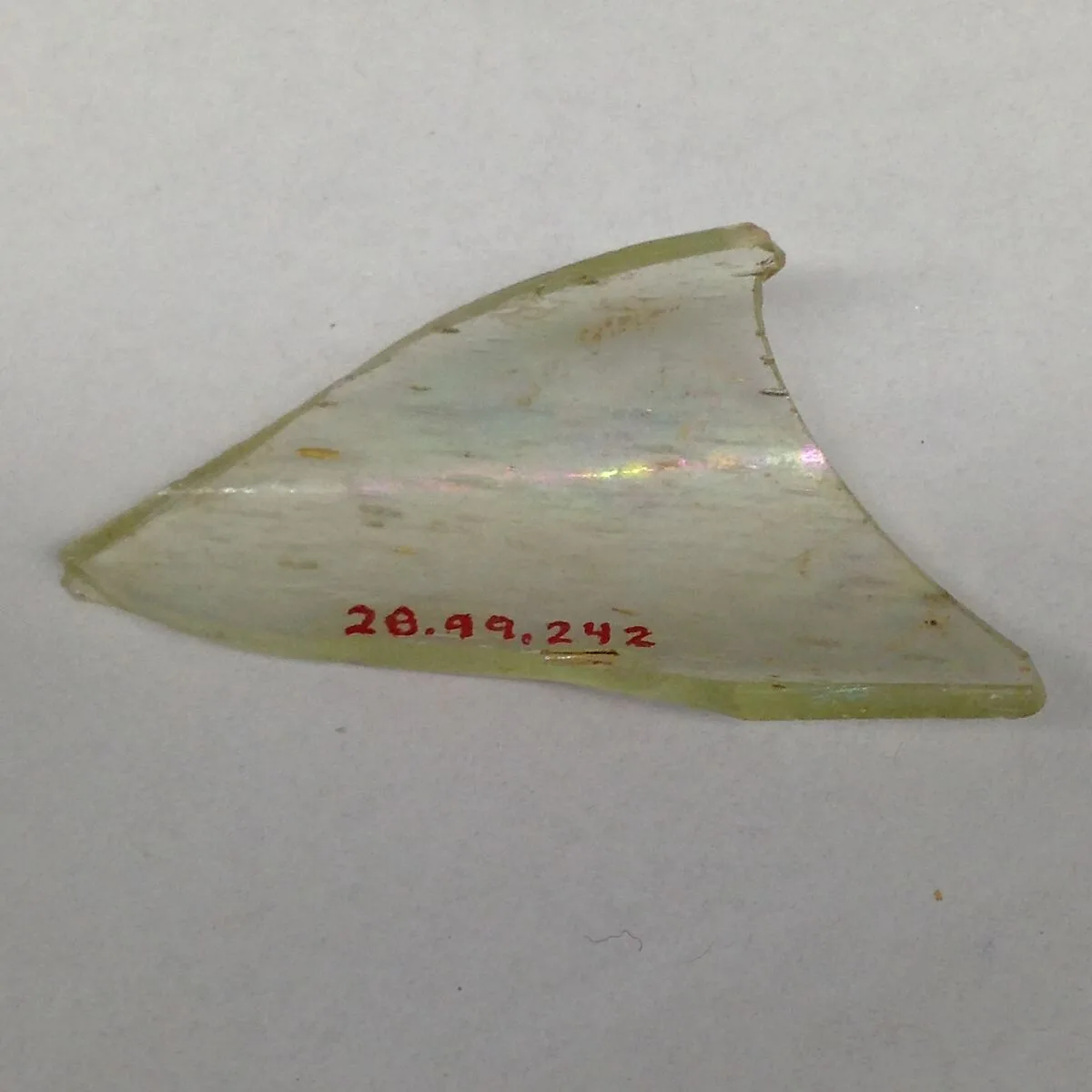 Fragment — Unknown