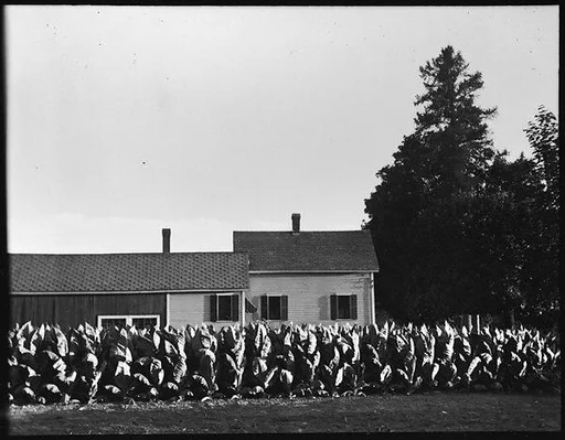 [Farmhouse Buildings with Plantings]