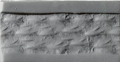 Cylinder seal — Unknown