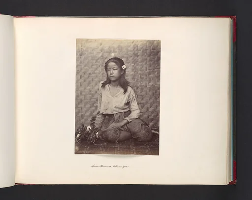 Siam - Burmese Flower Girl