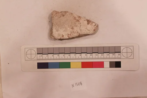 Stucco Fragment