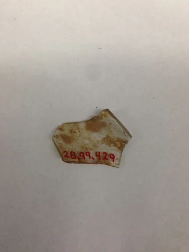 Fragment