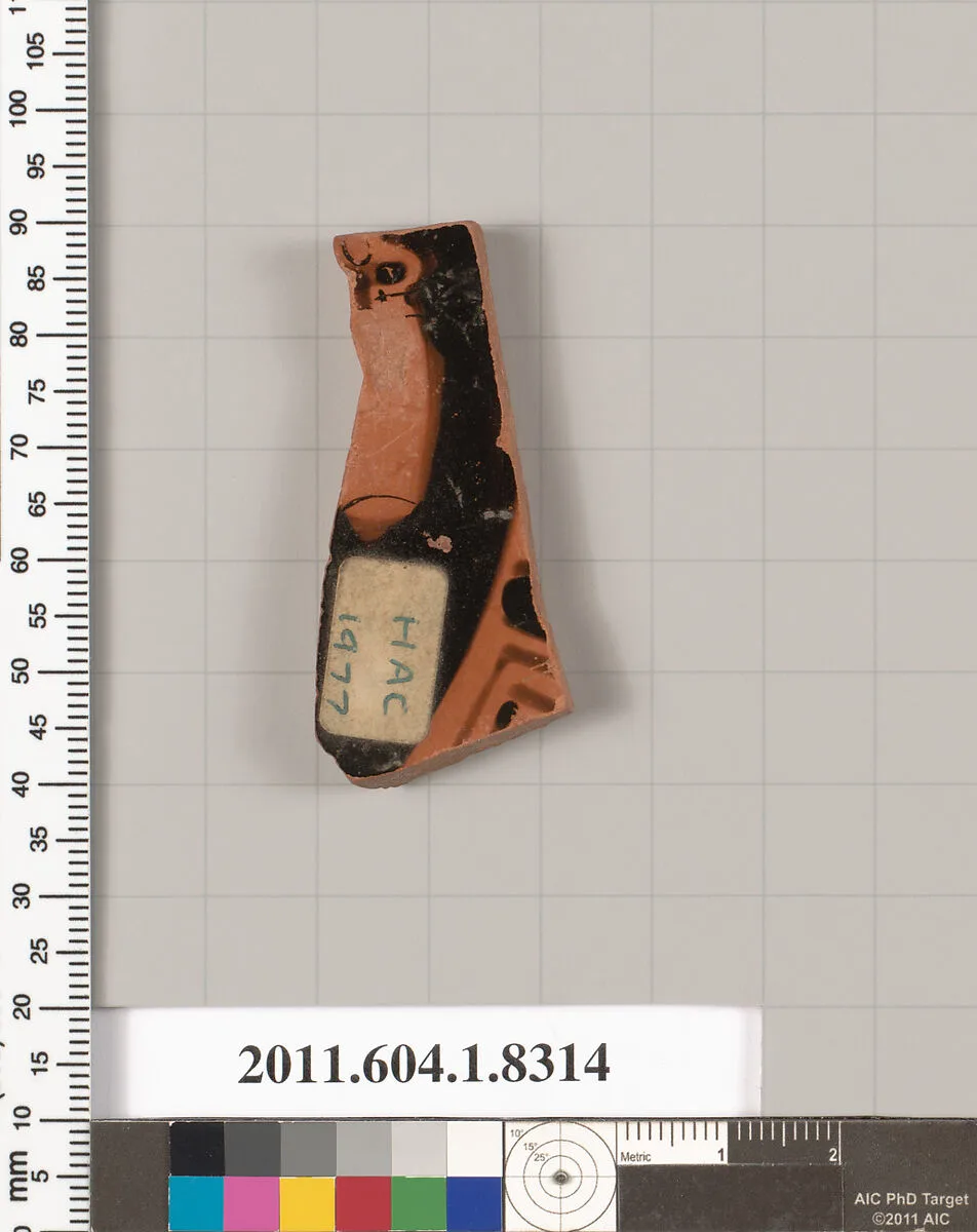 Terracotta fragment of a kylix (drinking cup) — Unknown