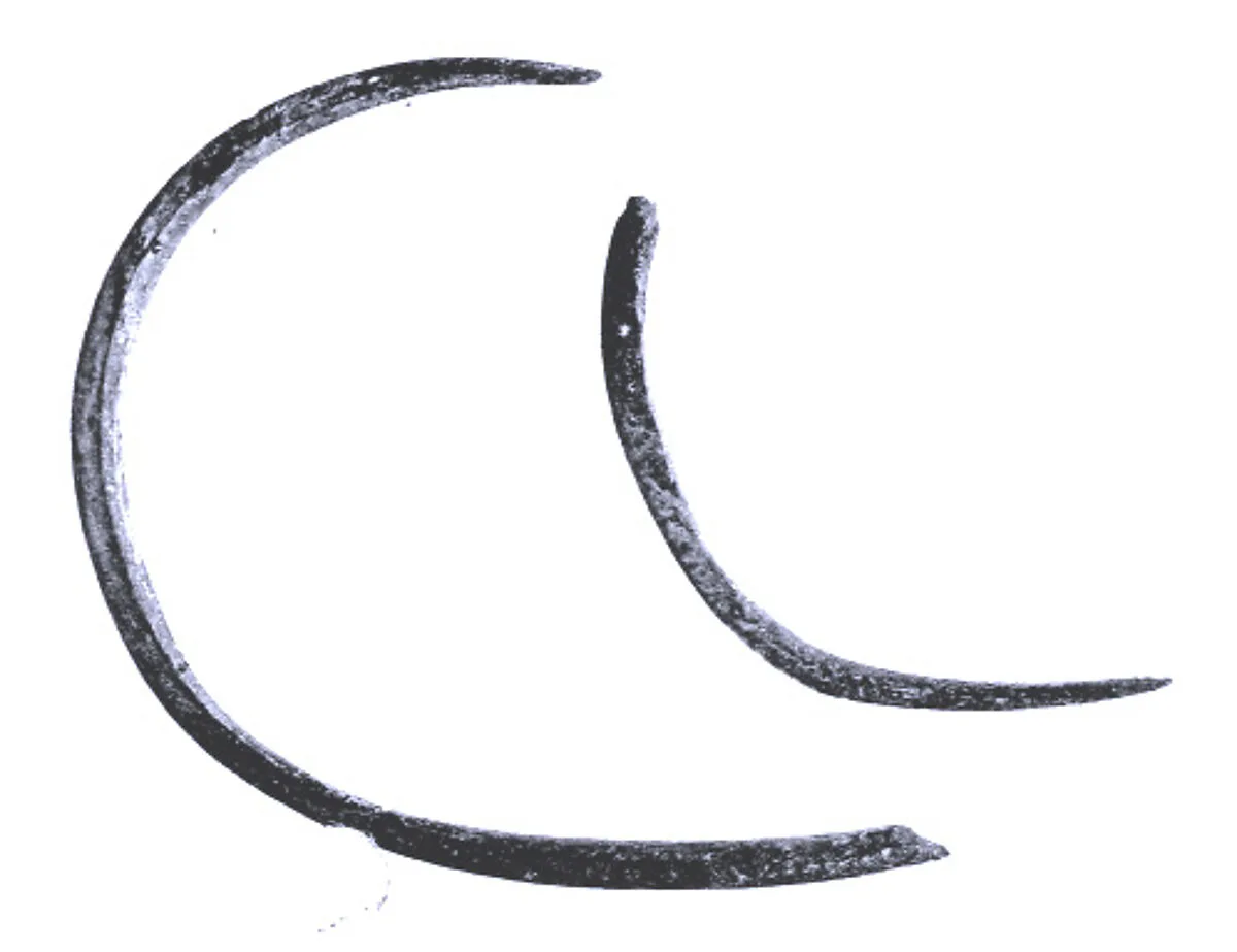 Bracelet (?) fragments — Unknown