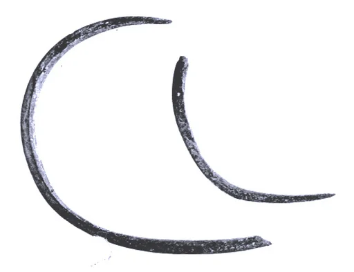 Bracelet (?) fragments