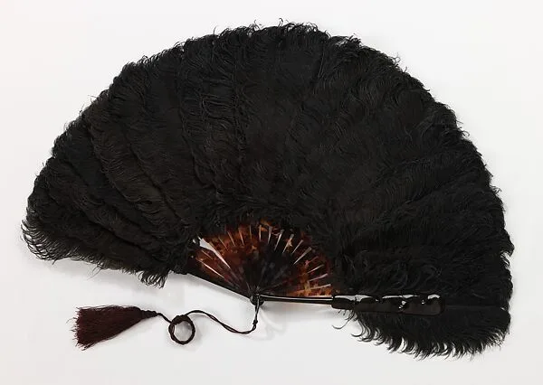 Fan — Unknown