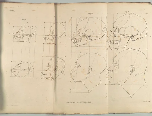 The Works of the late Professor Camper, on The Connexion [sic] between the Science of Anatomy and The Arts of Drawing, Painting, Statuary &c. &c.