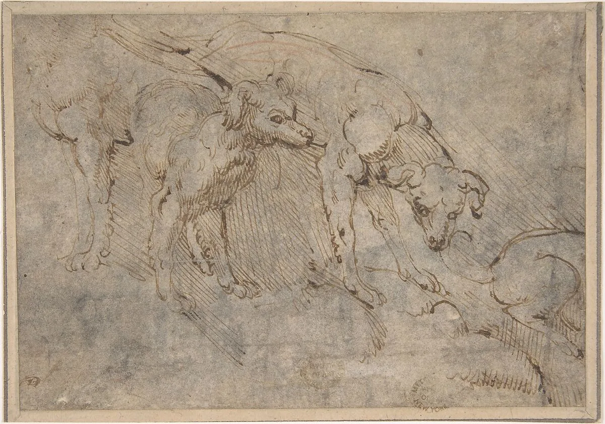Studies of a Dog — Anonymous, Netherlandish, 16th century