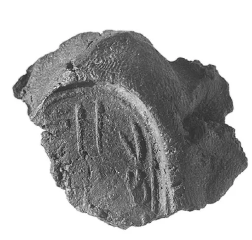 Sealing fragment