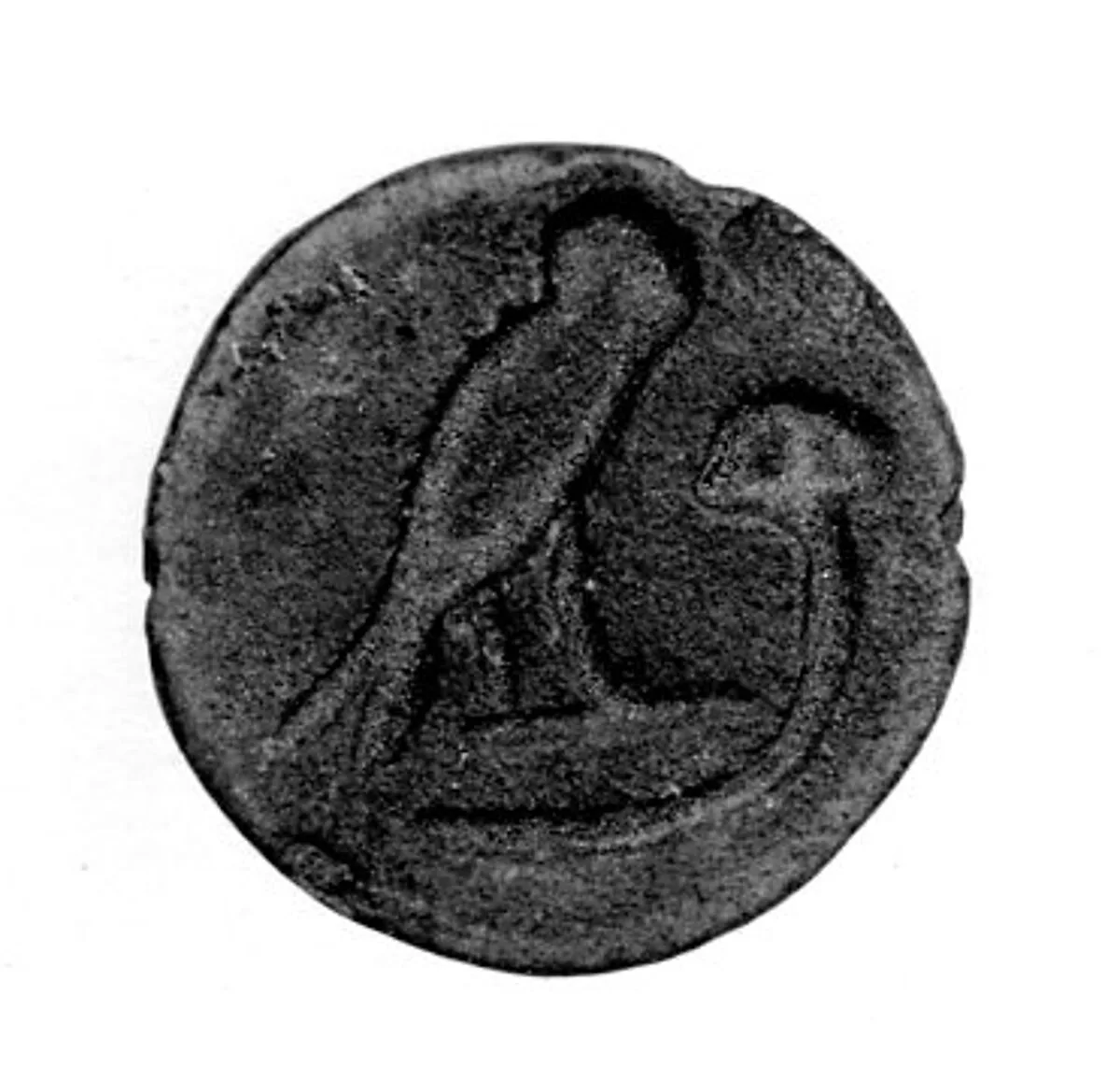 Seal — Unknown