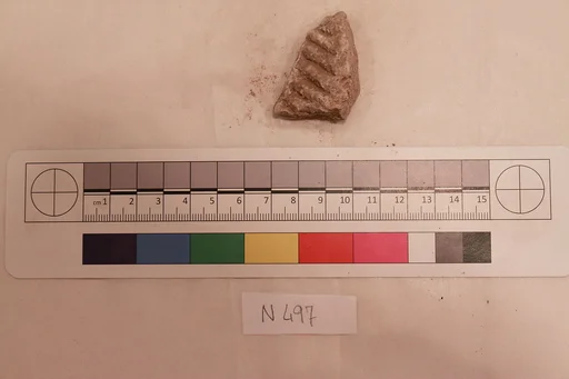 Stucco Fragment