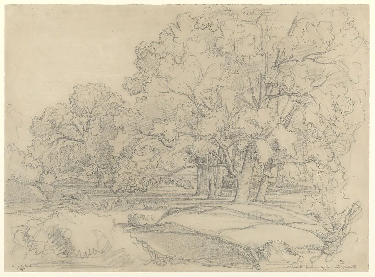 Plateau de la Mare aux Fées. Forest of Fontainebleau — Théodore Caruelle d'Aligny