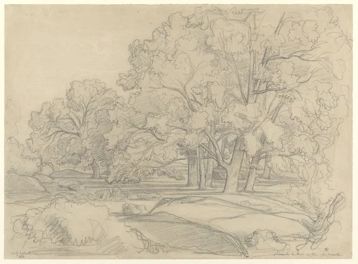 Plateau de la Mare aux Fées. Forest of Fontainebleau