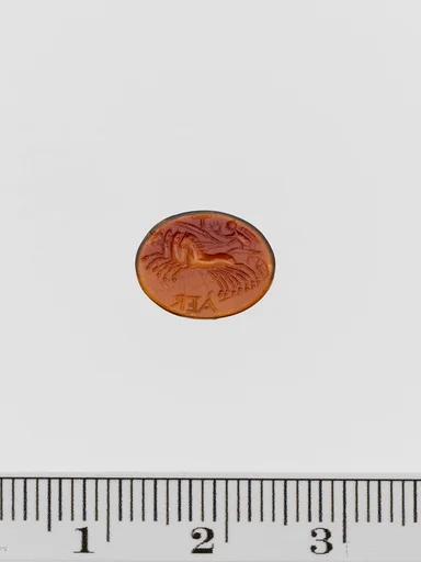 Sard ring stone