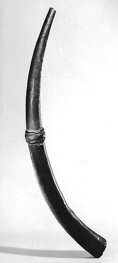 Horn